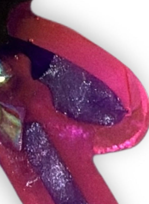 Skull Bear - Jewel tag for dogs